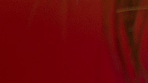 Ricardo Lavolpe es un entrenador con amplia experiencia en el fútbol mexicano y en el pasado ya dirigió al América.