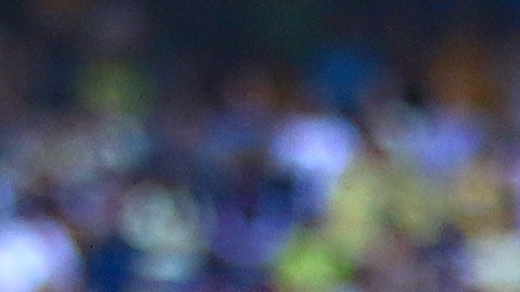 Cuauhtémoc Blanco.