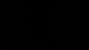 El entrenador del Canelo Álvarez lamentó las escenas de lo ocurrido en La Corregidora.