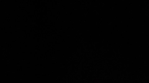 El entrenador del Canelo Álvarez lamentó las escenas de lo ocurrido en La Corregidora.