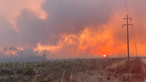Incendio Forestal Ron DeSantis Florida