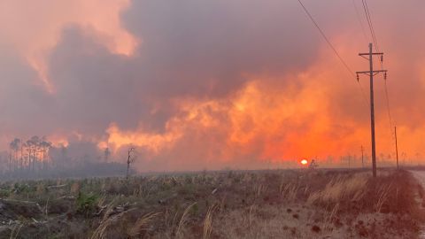 Incendio Forestal Ron DeSantis Florida