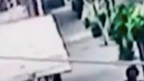 Graban a un hombre devorando a un gato en las calles de México.