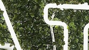 Con topcito, Karol G canta tema de Selena Quintanilla