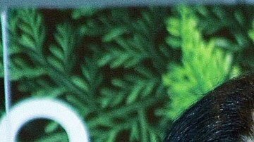 Laura Pausini y Luis Miguel | Mezcalent.