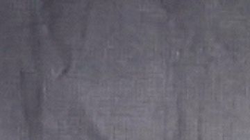 Luz Elena González | Mezcalent