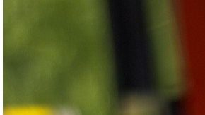 La conductora del autobús escolar le pidió a los niños se bajarán para evitar un problema más grave.