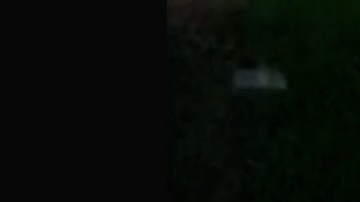 Militares mexicanos capturan al Huevo Treviño, líder del Cártel del Noreste.
