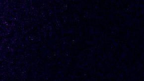 Mujer hispana de Florida acusada de matar intencionalmente a su novio con un auto