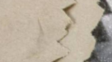 Mujeres estadounidenses ocultan droga en su cuerpo y las sorprenden en la frontera.