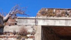 Operativo contra el CJNG, le desmantelan un narcolaboratorio.