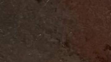 Detienen a tres extorsionadores que trabajan para el Daza, un narco del cártel de la Unión Tepito.