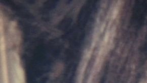 Natalia Téllez | Mezcalent