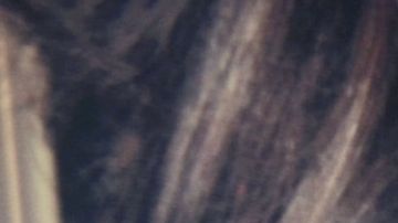 Natalia Téllez | Mezcalent