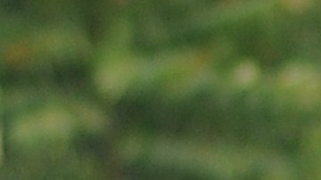 Niño de 10 años mata a su hermano de 12 después de dispararle accidentalmente en la cara mientras jugaban con un arma