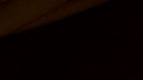 Una película nominada al Oscar 2022 se asocia con tu signo.