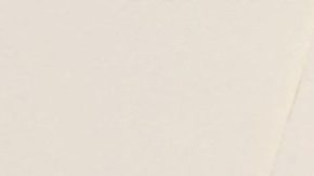 Penélope Cruz y Javier Bardem fueron la pareja más elegante.