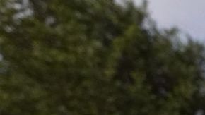 La policía desconoce las razones por las que el hombre de 38 años accionó su rifle hasta en ocho ocasiones.