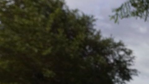 La policía desconoce las razones por las que el hombre de 38 años accionó su rifle hasta en ocho ocasiones.
