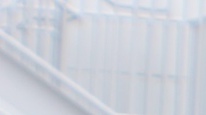 Estudiantes de la escuela primaria Academia Moderna.(Cortesía)