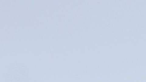 Putin ordena a escuadrones de ejecución que disparen contra sus propios hombres si intentan desertar la invasión de Ucrania