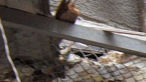 Rusia deliberadamente mata a civiles un ataque con bomba de racimo dejó 47 muertos en distrito residencial