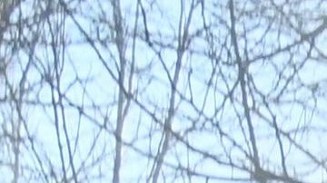 Soldados rusos huyen enfermos por radiación de Chernobyl después de cavar trincheras en bosques contaminados