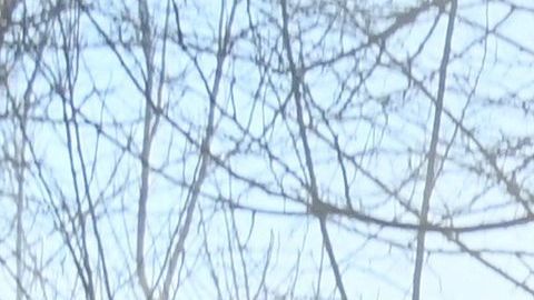 Soldados rusos huyen enfermos por radiación de Chernobyl después de cavar trincheras en bosques contaminados