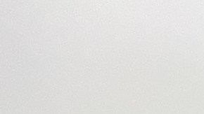 Avión militar realiza viaje de regreso a México con 81 personas y un perrito que huyen de Ucrania