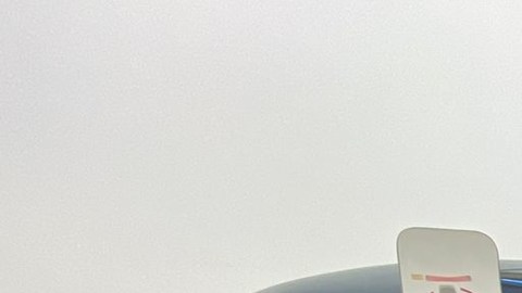 Avión militar realiza viaje de regreso a México con 81 personas y un perrito que huyen de Ucrania