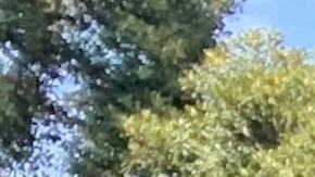 Tino Salazar, protegido contra la tortura comienza una nueva vida. (Araceli Martínez/La Opinión)