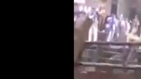 Toro se lanza contra los asistentes en un jaripeo que casi termina en tragedia.
