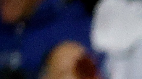 Tyler Adams y Weston Mckennie con la selección de Estados Unidos.