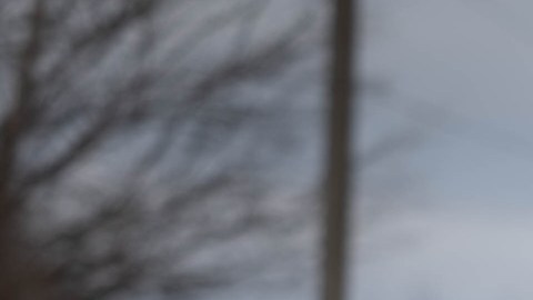 Mujeres y niños son la mayoría de los ucranianos que han dejado su país a raíz del conflicto con Rusia. (Cortesía Manuel Ortiz/Ethnic Media Services)