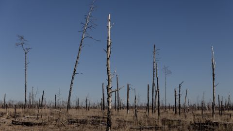 Ucrania advierte que Putin ordenó un ataque terrorista en la planta nuclear de Chernobyl