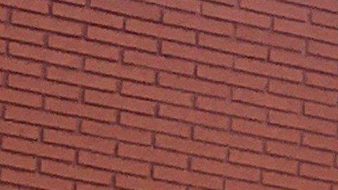 CCNP ayuda a las personas con la declaración de sus impuestos y ofrece despensas de comida a quienes lo necesiten. (Suministrada)