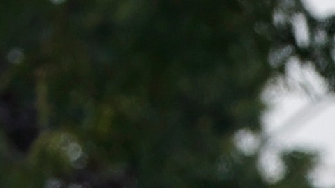 Video captura incidente de furia en la calle cuando un padre de dos niñas discute con un conductor hispano y recibe un disparo mortal