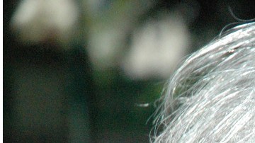 La señora insultó y les hizo señas obscenas a los trabajadores.