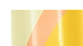 Amy Schumer y Volodymyr Zelensky