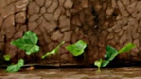 El pequeño se encuentra en custodia temporal en el Departamento de Servicios Humanos de Salud.