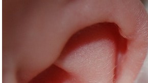 El menor se encuentra hospitalizado con heridas graves.