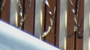 Familias rusas y ucranianas en un campamento improvisado a un costado de la Garita de San Ysidro, en Tijuana.