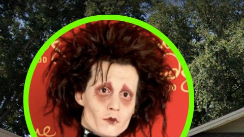 Casa 'Edward Scissorhands'