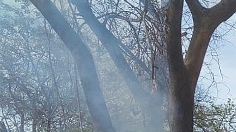 VIDEO: Pobladores incendian patrulla durante elecciones extraordinarias al sur de México