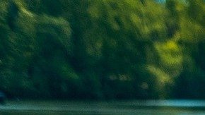 Tanque séptico niño muerto muerte accidental