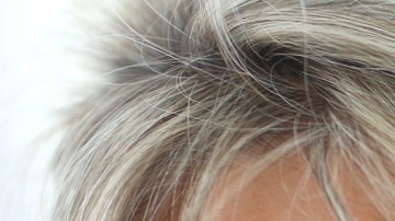 El envejecimiento cerebral se acelera drásticamente alrededor de los 44 años