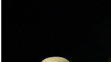 El individuo estaba de vacaciones con su familia.