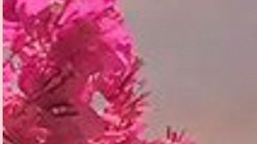 Engin Akyürek y Tuba Büyüküstün protagonizan la última fase de 'La Hija del Embajador'.