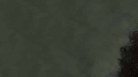 El proyecto lleva el nombre de CROWN por sus siglas en inglés.