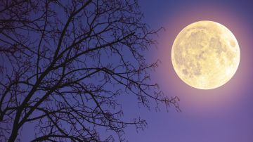 La luna llena en Virgo puede darte un enfoque más práctico a tus emociones.
